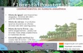 Floresta Equatorial Densa, fechada Árvores altas Latifoliada Perenifólia Higrófita Heterogênea 18% de área desmatada.