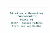 Direitos e Garantias Fundamentais Parte 01 IGEPP – Senado Federal Prof. Leo van Holthe.