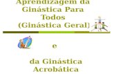 Teoria e Aprendizagem da Ginástica Para Todos (Ginástica Geral) e da Ginástica Acrobática.