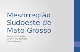 Mesorregião Sudoeste de Mato Grosso Bruna dos Santos Evelyn Isis Barbosa Emille Gomes.