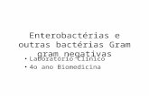 Enterobactérias e outras bactérias Gram gram negativas Laboratório Clínico 4o ano Biomedicina.