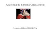 Anatomia do Sistema Circulatório: Professor: EDUARDO SILVA.