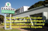 Serviço de Cirurgia Vascular Departamento de Cardiologia e Cirurgia Cardiovascular Famerp Dr. Daniel Gustavo Miquelin.