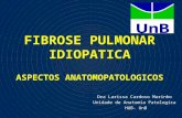 FIBROSE PULMONAR IDIOPATICA ASPECTOS ANATOMOPATOLOGICOS Dra Larissa Cardoso Marinho Unidade de Anatomia Patologica HUB- UnB.