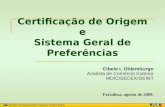 Certificação de Origem e Sistema Geral de Preferências Cibele L Oldemburgo Analista de Comércio Exterior MDIC/SECEX/DEINT Fortaleza, agosto de 2009.