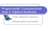 Programação Computacional Aula 4: Álgebra Booleana Profa. Madeleine Medrano madeleine@icte.uftm.edu.br madeleine@icte.uftm.edu.br.