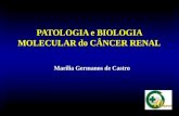 PATOLOGIA e BIOLOGIA MOLECULAR do CÂNCER RENAL Marilia Germanos de Castro.