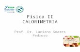 FÍSICA, 2º ANO Calor sensível, capacidade térmica e calor específico Física II CALORIMETRIA Prof. Dr. Luciano Soares Pedroso.