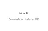 Aula 18 Formatação de winchester (HD). formatação Formatação e divida em duas parte: Formatação física e formatação lógica. Passos para instalação do.