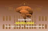 Pós-graduação Neurologia Graduação NEUROLOGIA Disciplina de Neuroanatomia Graduação NEUROLOGIA Disciplina de Neuroanatomia.