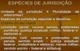 ESPÉCIES DE JURISDIÇÃO Unidade da jurisdição X Pluralidade de soberanias? Espécies de jurisdição segundo a doutrina: Critério do seu objeto: Jurisdição.
