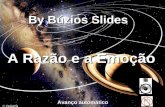 By Búzios Slides Avanço automático A Razão e a Emoção.
