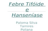 Febre Tifóide e Hanseníase Paloma Silva Tamires Poliana.