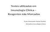 Testes utilizados em Imunologia Clínica – Reagentes não Marcados Profa Alessandra Xavier Pardini Disciplina Imunologia Clínica.