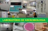 LABORATÓRIO DE MICROBIOLOGIA. Laboratório de Microbiologia Análise microbilógica Biologia molecular Imunológicas Detecҫão de agentes biológicos.