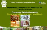 Diretoria de Inspeção de Produtos de Origem Animal Programa Bahia Saudável: Segurança alimentar com qualidade Diretoria de Inspeção de Produtos de Origem.