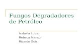 Fungos Degradadores de Petróleo Isabella Luiza Rebeca Mansur Ricardo Gois.
