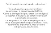 Brasil do açúcar e a invasão holandesa Os portugueses precisavam fazer desenvolver a economia da Colônia. Como a extração do pau-brasil já começava a esgotar.