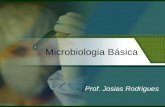 Microbiologia Básica Prof. Josias Rodrigues. Introdução à Microbiologia Áreas de aplicação da Microbiologia.