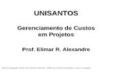 UNISANTOS Gerenciamento de Custos em Projetos Prof. Elimar R. Alexandre Material adaptado. Fonte: Prof. Murilo Alambert - MBA em Gerência de Projetos,
