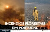 INCÊNDIOS FLORESTAIS EM PORTUGAL. O que são os incêndios florestais? Os incêndios florestais são o risco misto com maior incidência e gravidade em Portugal.