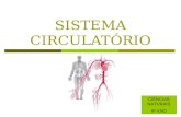 SISTEMA CIRCULATÓRIO CIÊNCIAS NATURAIS 9º ANO. Sistema Circulatório O sistema circulatório sanguíneo ou sistema cardiovascular é formado por: Coração-