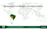 Agronegócio no Brasil e em Mato Grosso. Índice 1 - Agronegócio no Brasil e em Mato Grosso 1.1 – Agronegócio Soja 1.2 – Agronegócio Milho 1.3 – Agronegócio.