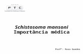 Schistosoma mansoni Importância médica Profª: Rosa Guedes.