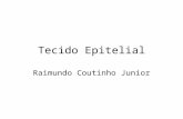 Tecido Epitelial Raimundo Coutinho Junior. Considerações Iniciais Organismo Sistemas Órgãos Tecidos Células Martini (1989)