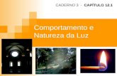 Comportamento e Natureza da Luz CAPÍTULO 12.1 CADERNO 3 - CAPÍTULO 12.1.