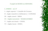 O papel do IBAMA no SISNAMA L. 6938/81 – art. 6º I – órgão superior = Conselho de Governo II – órgão consultivo e deliberativo = CONAMA III – órgão central.