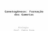 Gametogênese: Formação dos Gametas Biologia Prof. Pablo Paim.
