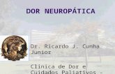 DOR NEUROPÁTICA Dr. Ricardo J. Cunha Junior Clinica de Dor e Cuidados Paliativos - HUCFF.
