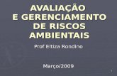 1 AVALIAÇÃO E GERENCIAMENTO DE RISCOS AMBIENTAIS Prof Eltiza Rondino Março/2009.