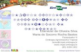 Embrapa Agroindústria Tropical Resíduos de Agrotóxicos em Alimentos SIMPÓSIO BRASILEIRO SOBRE RESÍDUOS DE AGROTÓXICOS EM ALIMENTOS Ebenézer de Oliveira.
