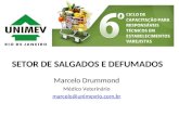 SETOR DE SALGADOS E DEFUMADOS Marcelo Drummond Médico Veterinário marcelo@unimevrio.com.br.