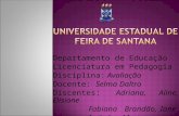 Departamento de Educação Licenciatura em Pedagogia Disciplina: Avaliação Docente: Selma Daltro Discentes: Adriana, Aline, Elisione Fabiana Brandão, Iane.