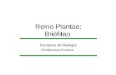 Reino Plantae: Briófitas Disciplina de Biologia Professora Viviane.