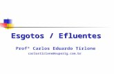 Esgotos / Efluentes Profº Carlos Eduardo Tirlone carlostirlone@superig.com.br.
