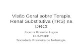 Visão Geral sobre Terapia Renal Substitutiva (TRS) na DRCt Jocemir Ronaldo Lugon HUAP/UFF Sociedade Brasileira de Nefrologia.