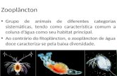 Zooplâncton Grupo de animais de diferentes categorias sistemáticas, tendo como característica comum a coluna d’água como seu habitat principal. Ao contrário.