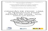 Conselho Nacional de Desenvolvimento Científico e Tecnológico (CNPq) Universidade Federal da Bahia (UFBA) Núcleo Interdisciplinar de Estudos e Ações Integrados.