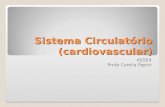 Sistema Circulatório (cardiovascular) ASSER Profa Camila Papini.