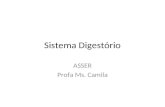Sistema Digestório ASSER Profa Ms. Camila. Sistema Digestório Função Atividades: – Ingestão – Mastigação – Deglutição – Digestão – Absorção – Peristaltismo.
