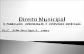 O Município: organização e estrutura municipal Prof. João Henrique P. Venzo.