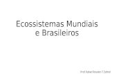 Ecossistemas Mundiais e Brasileiros Prof. Rafael Rosolen T Zafred.