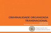 CRIMINALIDADE ORGANIZADA TRANSNACIONAL Paulina Duarte Secretaria de Segurança Multidimensional.