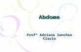 Abdome Profª Adriana Sanchez Ciarlo. Diferenças Entre Crianças e Adultos O abdome é mais proeminente e os órgãos abdominais estão mais altos nos lactentes.