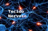 Tecido Nervoso. Sumário Tecido Nervoso  Tipos de células  Neurônio  Células Glias  Conclusão  Referências.