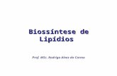 Biossíntese de Lipídios Prof. MSc. Rodrigo Alves do Carmo.